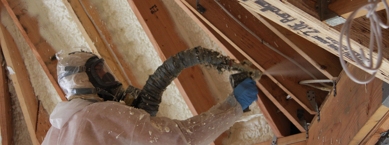 Lexington Kentucky Attic Insulation Spray Foam